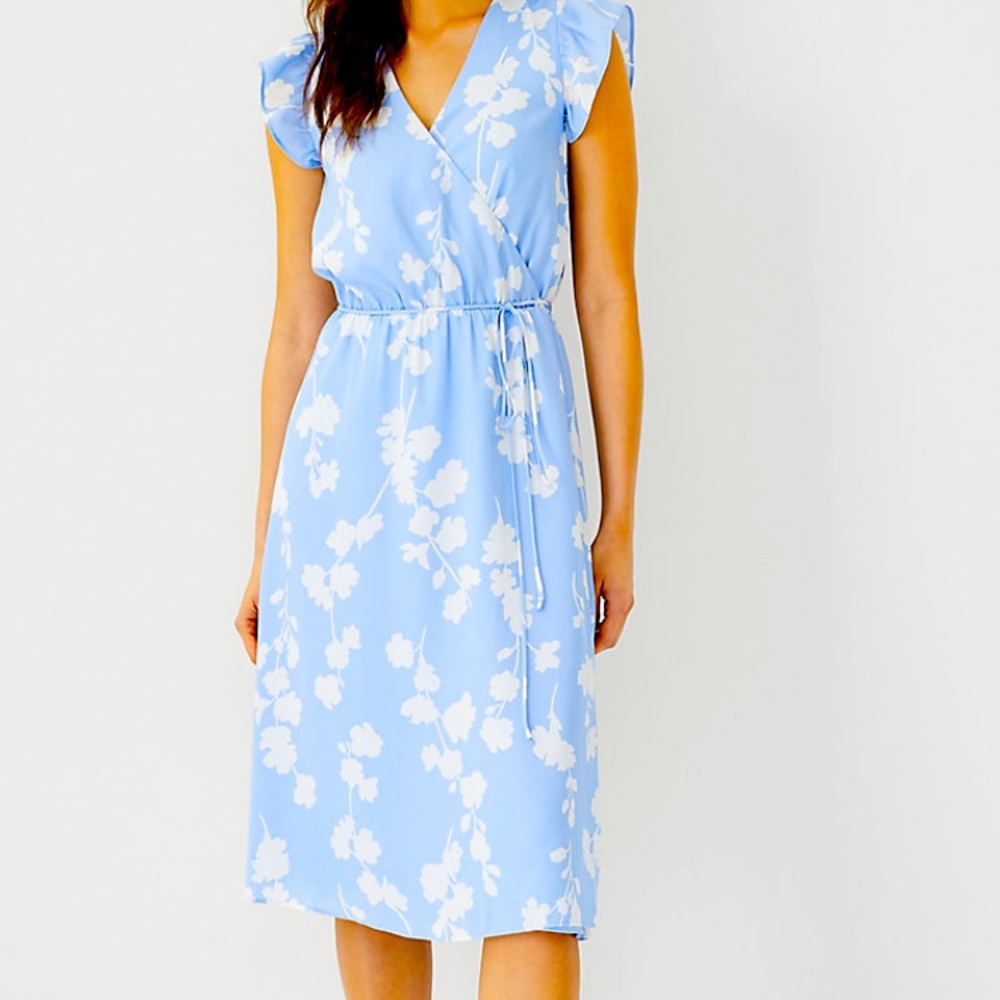 NWT Ann Taylor flutter sleeve dress size 10P